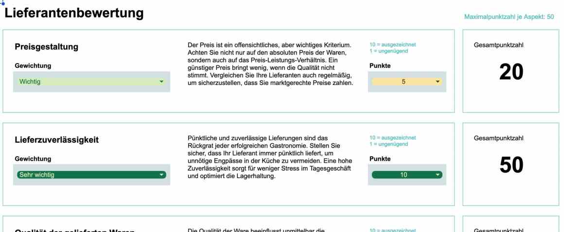 Lieferantenbewertung Vorlage Screenshot