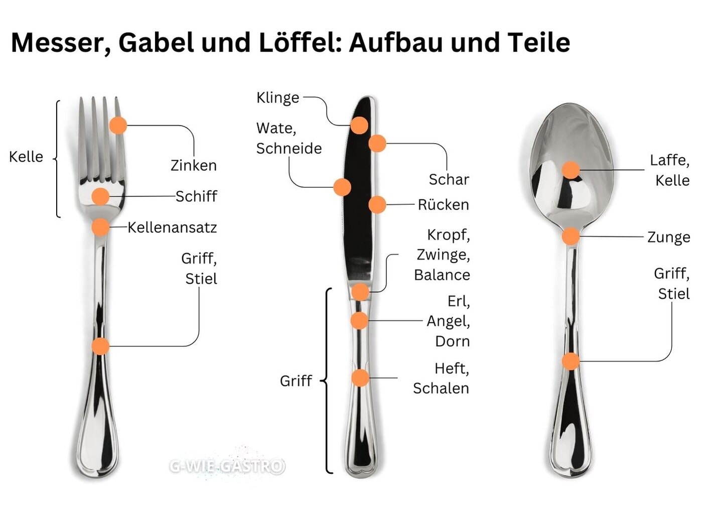 Infografik: Aufbau von Messer, Gabel und Löffel mit allen Teilen