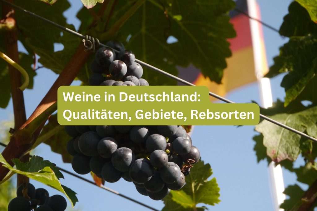 Weine in Deutschland: 9 Qualitäten, 13 Gebiete, 100+ Rebsorten