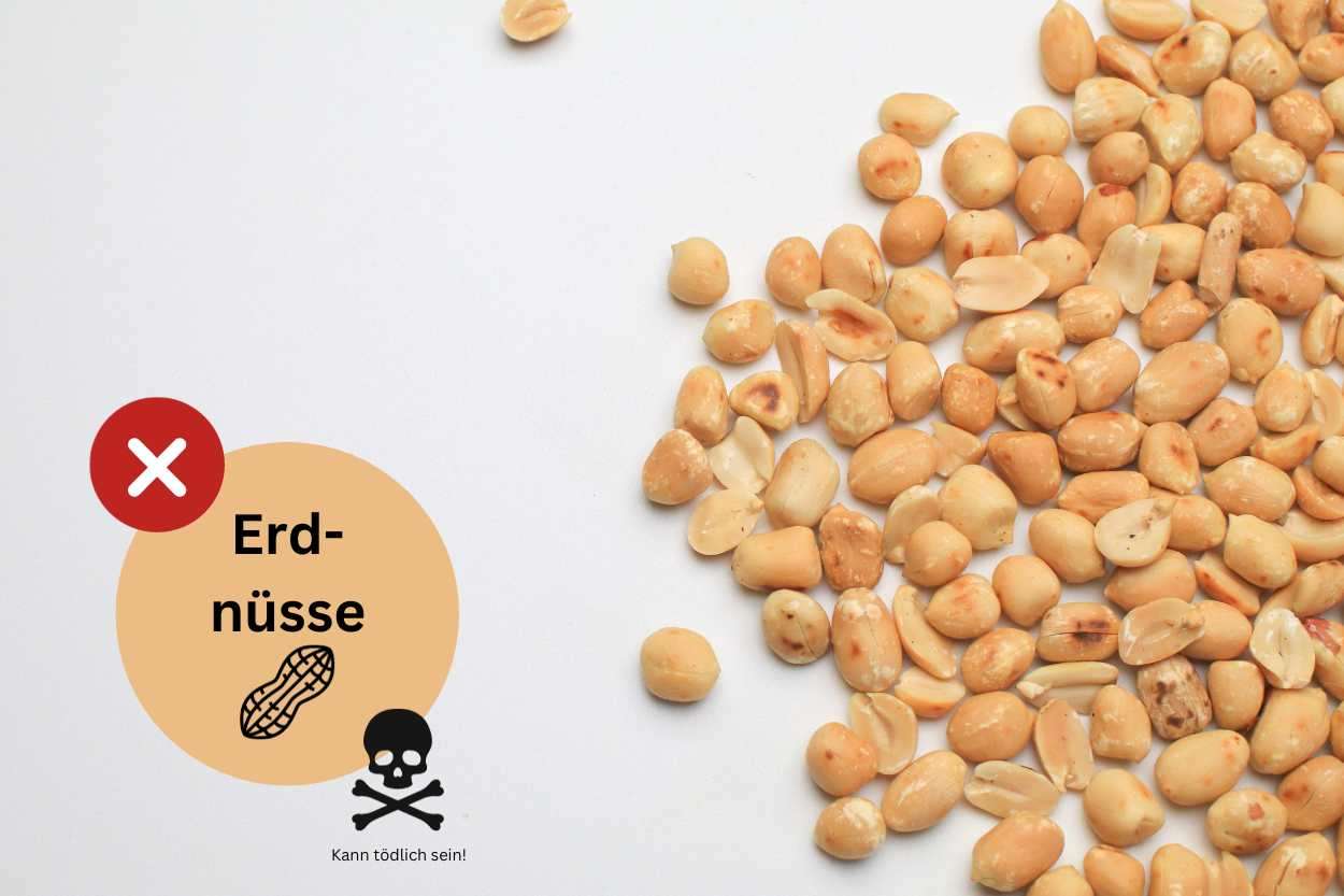 Erdnussallergie Infoblatt für die Gastronomie Allergene und Zusatzstoffe im Gastgewerbe