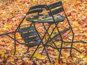 Gastronomie: Aktionen im Herbst