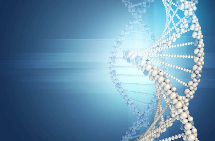 Nukleotide in der Gastronomie