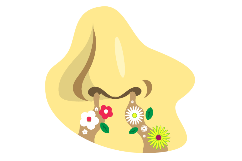 Die Macht der Gerüche beim ersten Eindruck