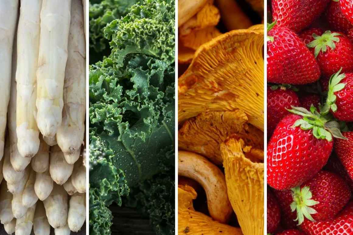 Saisonale Gerichte Spargel, Grünkohl, Pfifferlinge und Erdbeeren