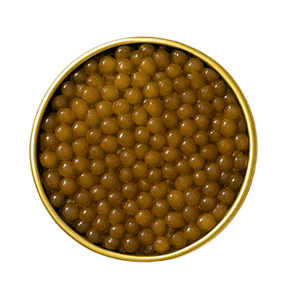 Amur Kaviar