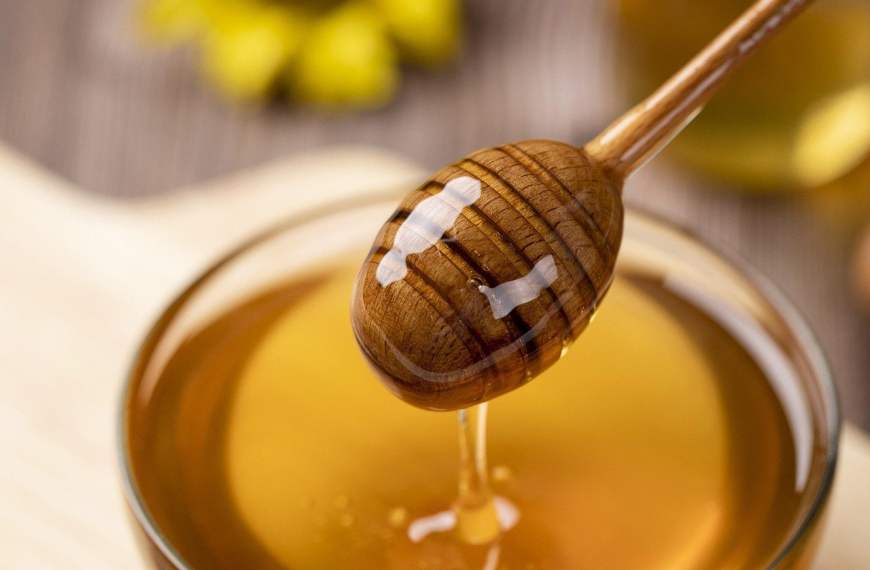 Gourmet-Innovation: Kreative Küche mit MGO-Honig